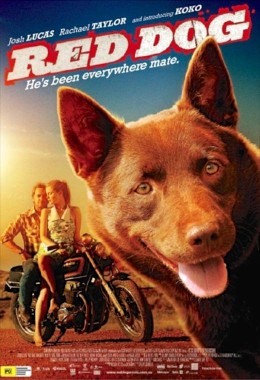 Poster for the film Red Dog with an Australian Kelpie with his tongue out and a man and woman on a motorbike behind him.